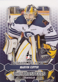 CUPPER Marvin ITG BTP 2012/2013 č. 69