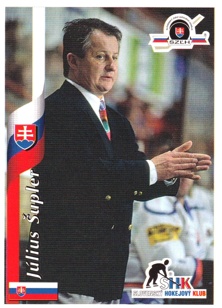 ŠUPLER Július APS REPREZENTÁCIA SLOVENSKEJ REPUBLIKY 1995/1996 č. 3