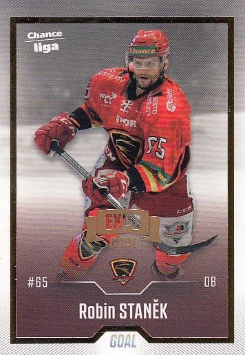 STANĚK Robin GOAL Cards 2022/2023 č. 48 Expo Gold /3