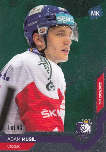 MUSIL Adam MK CIHT 2022 č. 17 Level 2 /46