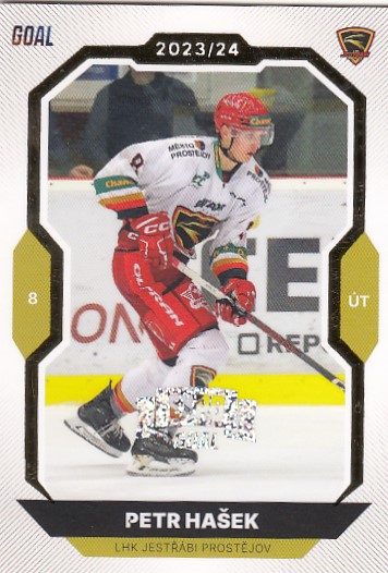 HAŠEK Petr GOAL Cards 2023/2024 č. 51 EXPO Perleť /6