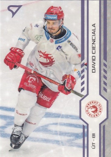 CIENCIALA David SPORTZOO 2024/2025 č. 10 Puck Marks