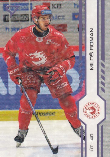ROMAN Miloš SPORTZOO 2024/2025 č. 16 Puck Marks