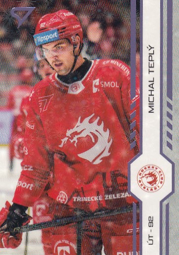 TEPLÝ Michal SPORTZOO 2024/2025 č. 17 Puck Marks