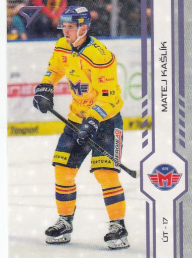 KAŠLÍK Matej SPORTZOO 2024/2025 č. 101 Puck Marks