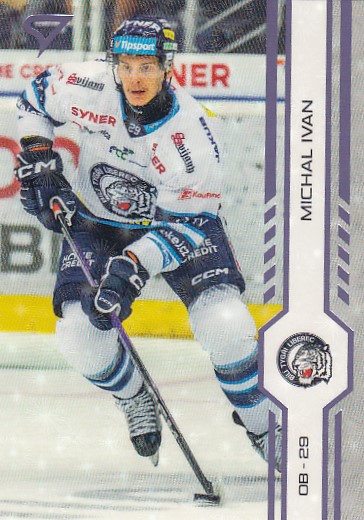 IVAN Michal SPORTZOO 2024/2025 č. 114 Puck Marks