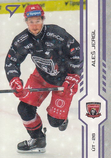 JERGL Aleš SPORTZOO 2024/2025 č. 139 Puck Marks