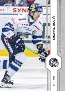 BULÍŘ Michal SPORTZOO 2024/2025 č. 304