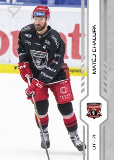 CHALUPA Matěj SPORTZOO 2024/2025 č. 313