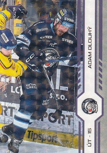 DLOUHÝ Adam SPORTZOO 2024/2025 č. 407 Puck Marks