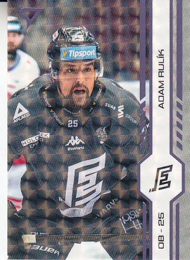 RULÍK Adam SPORTZOO 2024/2025 č. 434 Puck Marks
