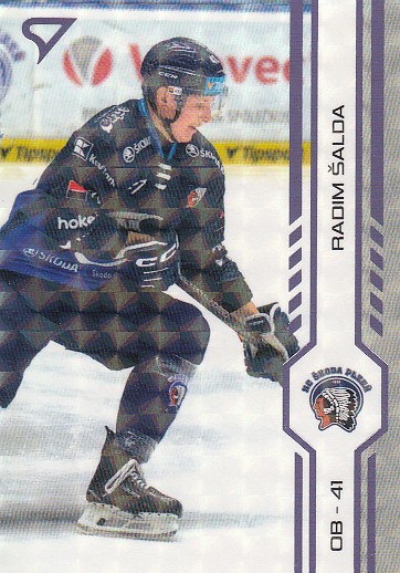 ŠALDA Radim SPORTZOO 2024/2025 č. 439 Puck Marks