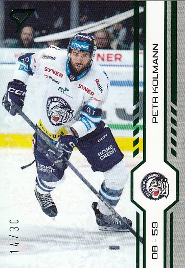 KOLMANN Petr SPORTZOO 2024/2025 č. 405 Green Glitter /30