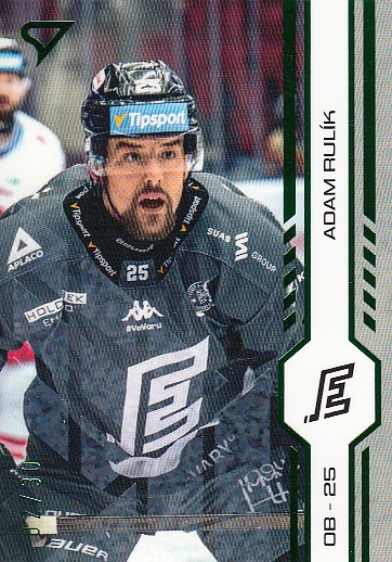 RULÍK Adam SPORTZOO 2024/2025 č. 434 Green Glitter /30