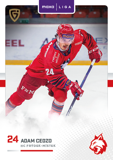 CEDZO Adam GOAL cards 2025/2026 FMI-10