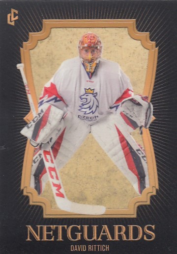 RITTICH David LC Season Collection 2024/2025 Netguards NG-31 Black PROMO