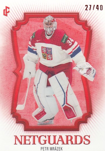 SET LC Season Collection 2024/2025 Netguards Red /40