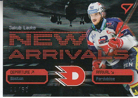 LAUKO Jakub SPORTZOO 2025/2026 New Arrivals NA-02 Iron Grey /60