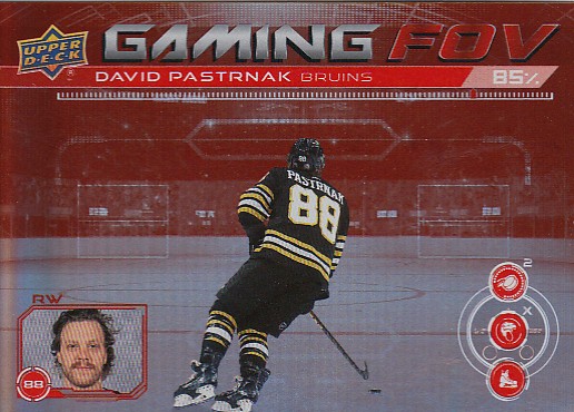 PASTRŇÁK David UD 2024/2025 Gaming FOV GFOV-4