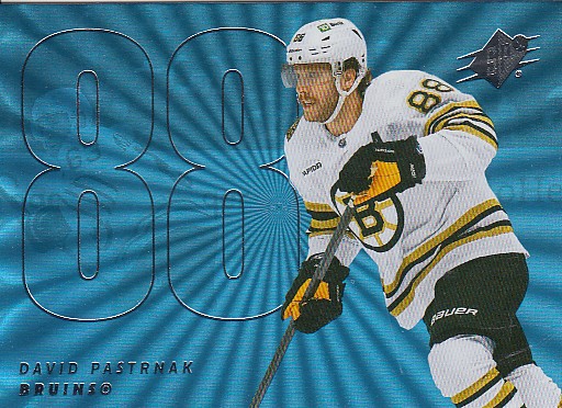 PASTRŇÁK David UD SPx 2024/2025 č. 88