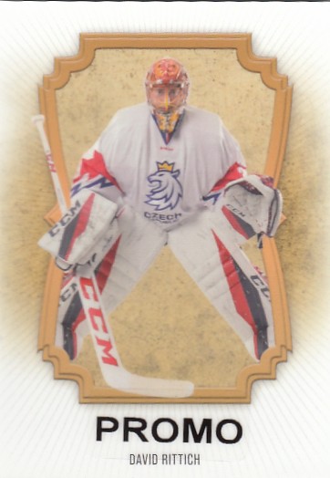 RITTICH David LC Season Collection 2024/2025 Netguards NG-31 Gold PROMO