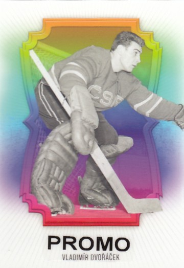 DVOŘÁČEK Vladimír LC Season Collection 2024/2025 Netguards NG-22 Neon Black PROMO