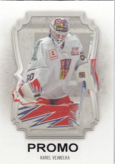 VEJMELKA Karel LC Season Collection 2024/2025 Netguards NG-21 Silver PROMO
