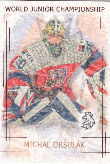 ORŠULÁK Michal Real Cards 2025/2026 WJCH U20-18 Bronze Jungle /15
