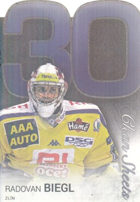 BIEGL Radovan OFS Classic 2017/2018 Clean Sheets CS-9 Rainbow /19