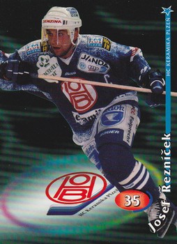 ŘEZNÍČEK Josef OFS 1998/1999 č. 35