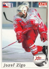 ZIGO Jozef SVK APS 1995/1996 č. 208