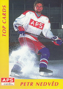 NEDVĚD Petr APS 1995/1996 TOP CARDS