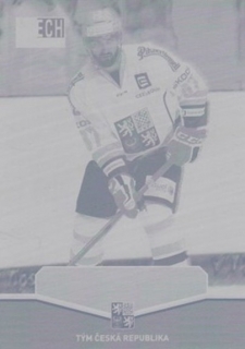 NAKLÁDAL Jakub CZECH Ice Hockey Team 2015 č. 24 Printing Plate YELLOW 1/1