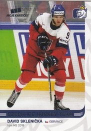 SKLENIČKA David Czech Ice Hockey Team 2019 č. 57