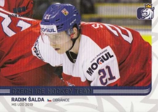ŠALDA Radim Czech Ice Hockey Team 2019 č. 81