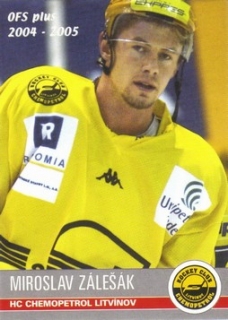 ZÁLEŠÁK Miroslav OFS 2004/2005 č. 371